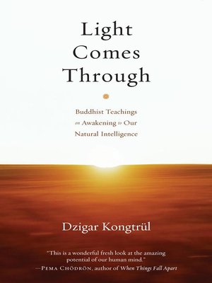 cover image of Light Comes Through